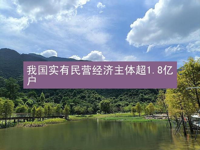 我国实有民营经济主体超1.8亿户